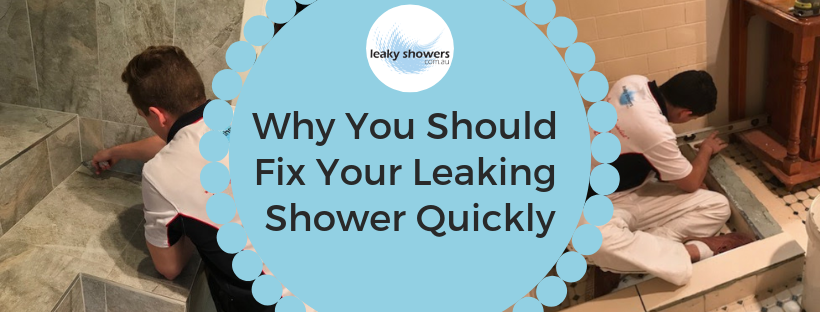 6 reasons to fix a leaking shower fast