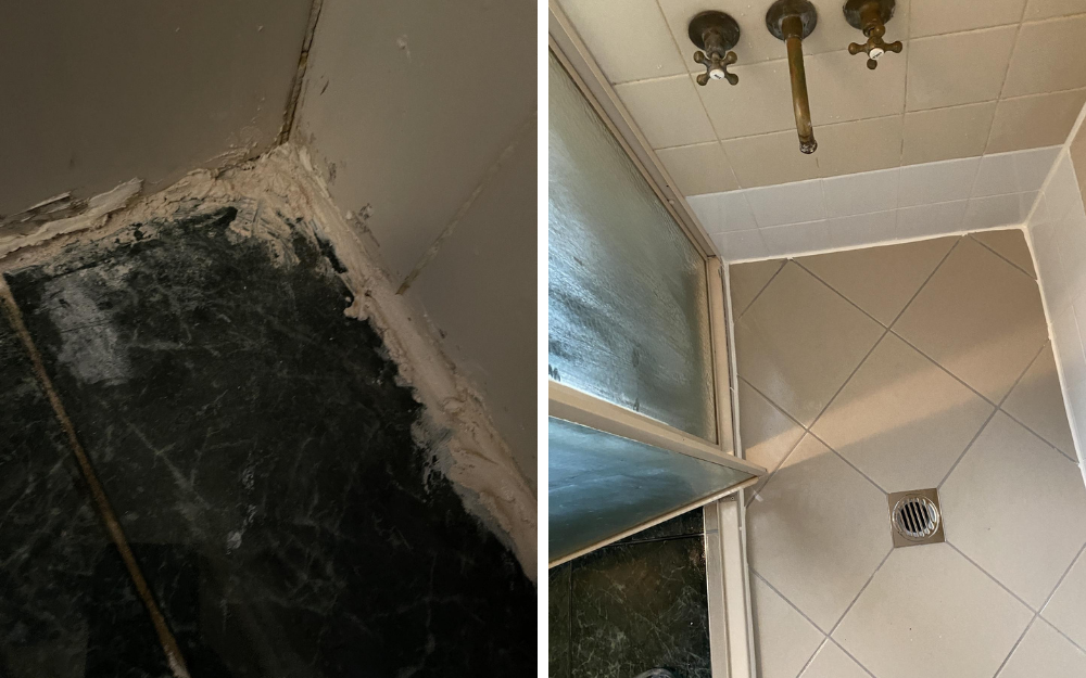 why-your-shower-is-leaking-and-what-to-do-about-it-leaky-showers